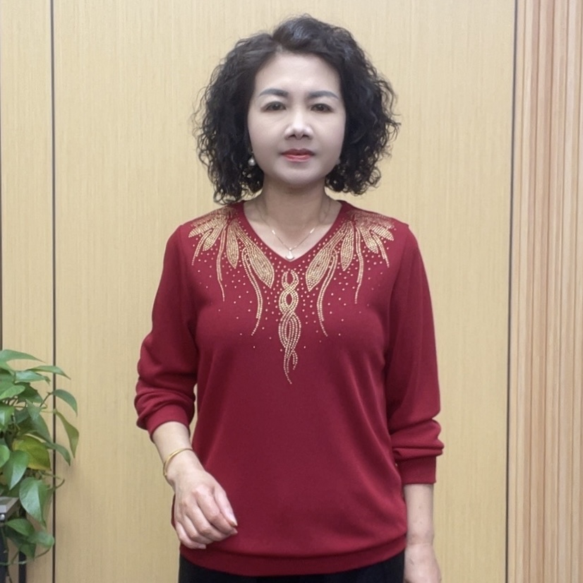 2025春季薄款高品质时尚气质百搭显瘦妈妈装宽松中老年打底衫