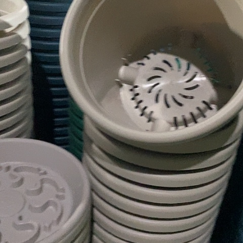 树脂四季3号灰白无托10个