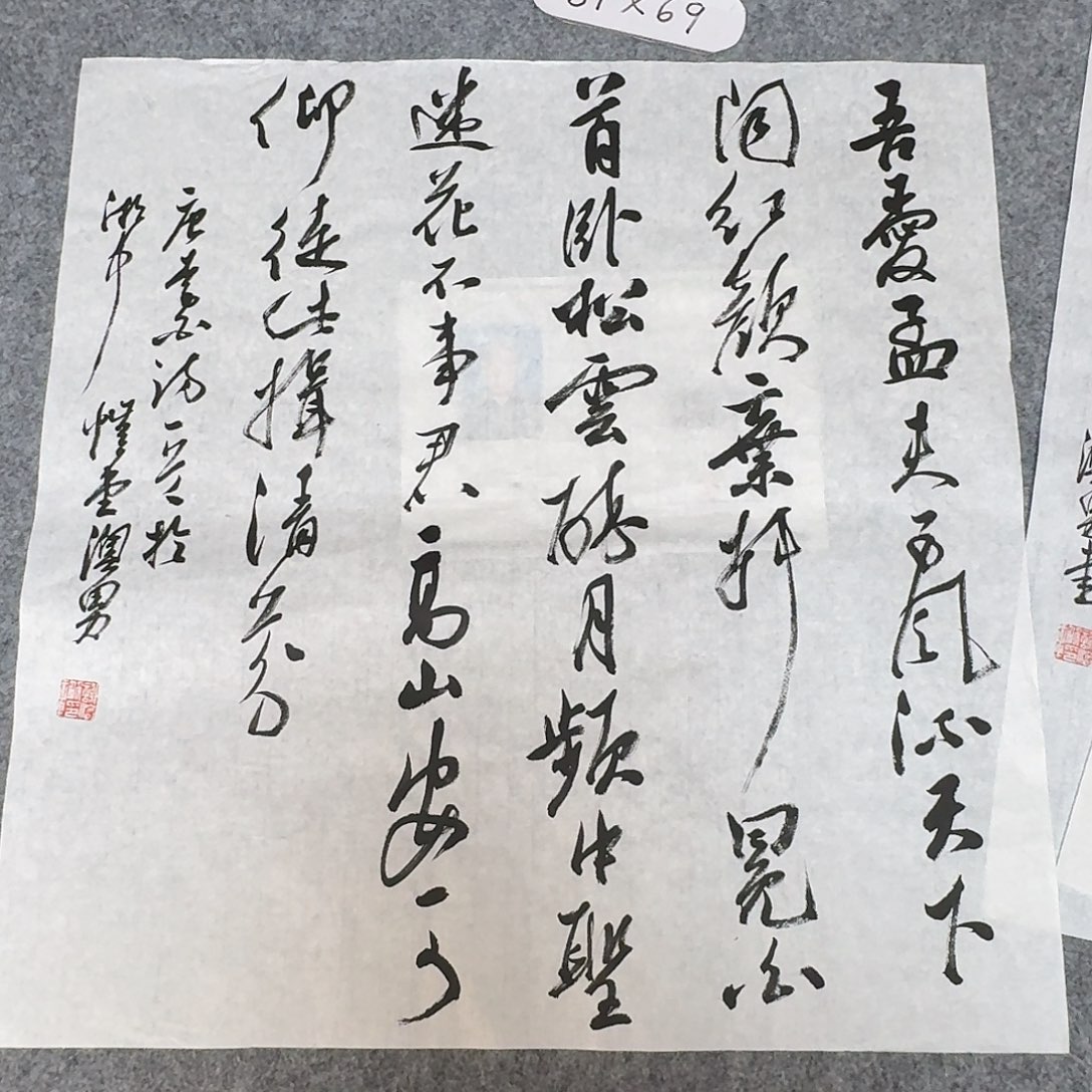 书法国展书家谢澳男69×69