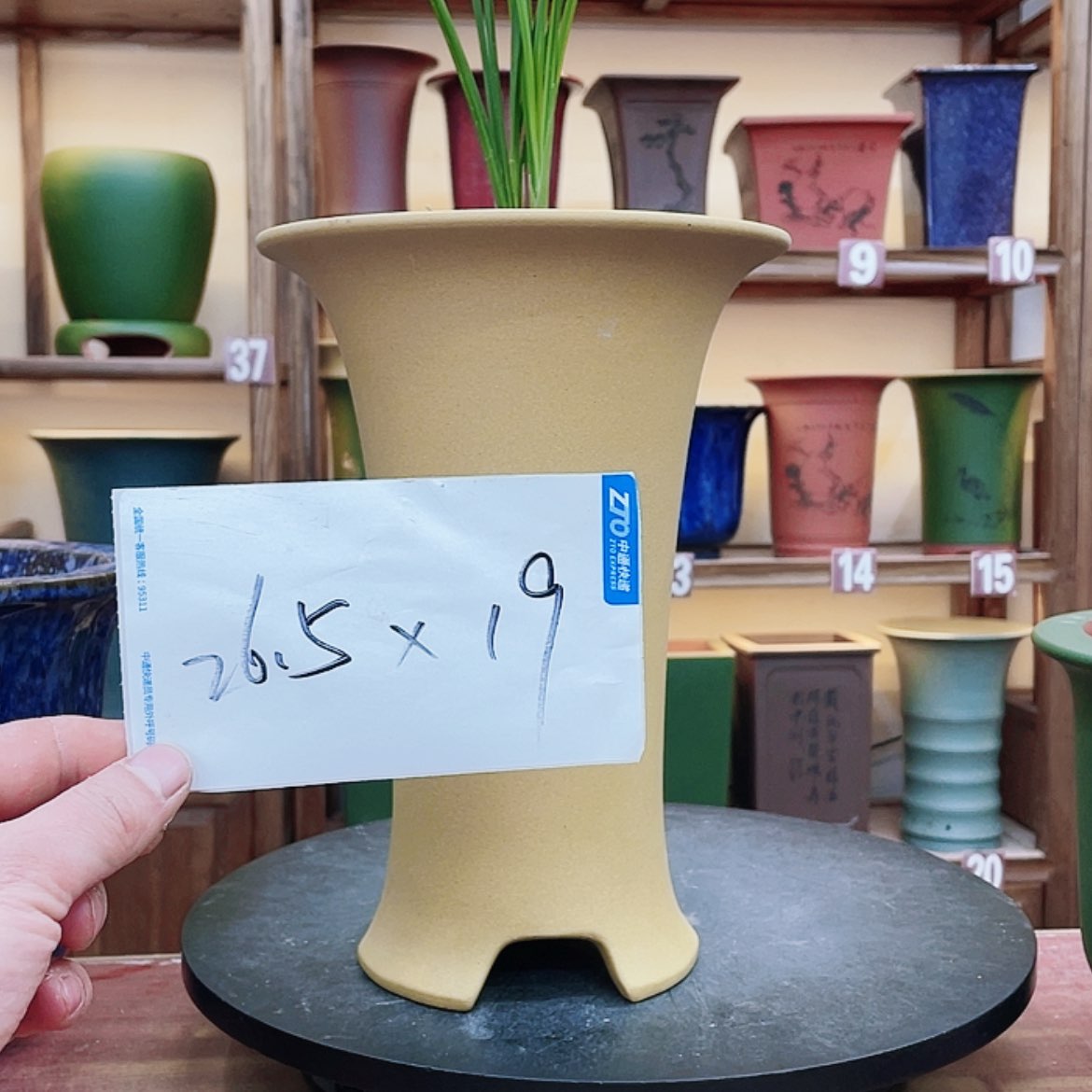 【闪购商品】紫砂花盆兰花42555555885585628
