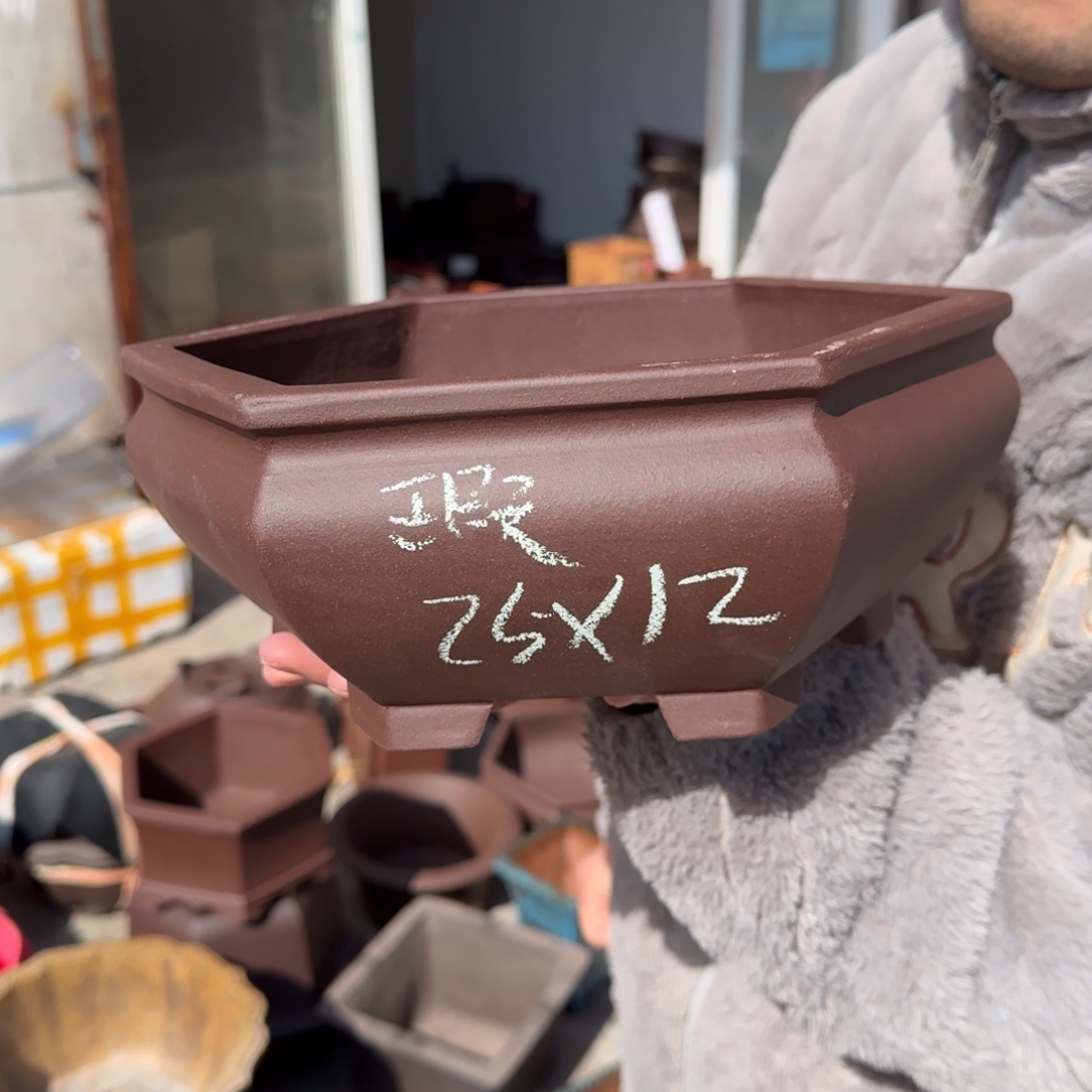 紫砂花盆呜呜呜呜
