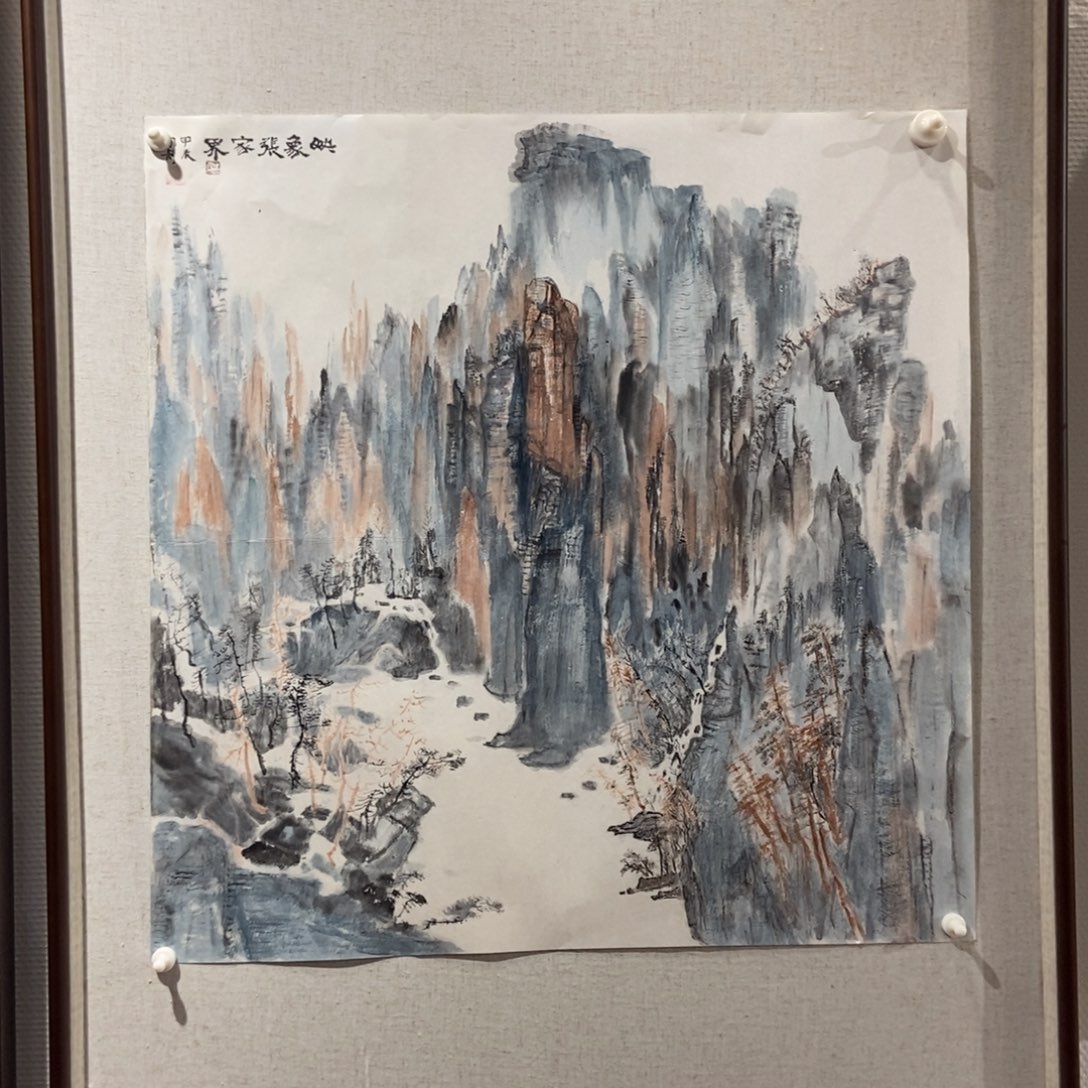 【闪购商品】国画用****0墨鱼精品墨鱼精品