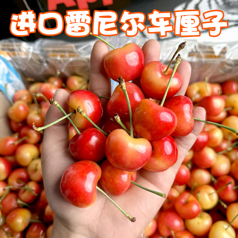 智利进口Rainer黄金车厘子新鲜水果雷尼尔樱桃海运J-5J内附果径卡