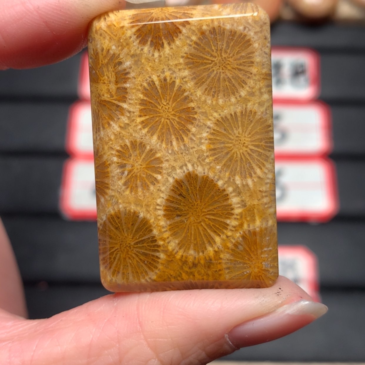 【闪购商品】硅化玉颈饰未镶嵌有****下