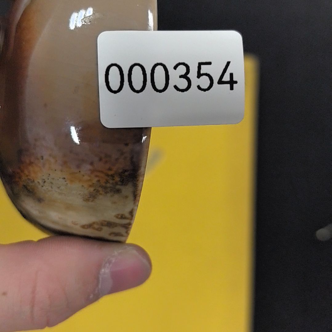 盖碗哦哦哦哦哦哦哦哦