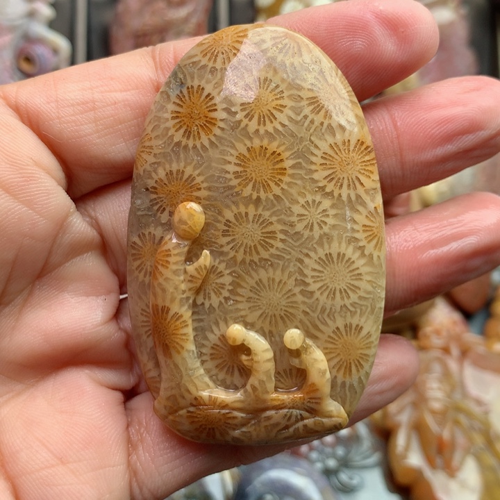 硅化珊瑚（珊瑚玉）颈饰未镶嵌果*