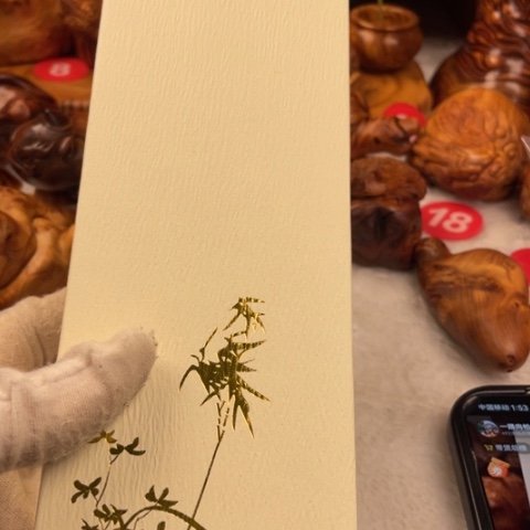 【闪购商品】柏木（崖柏）正宗北太行陈化料线香