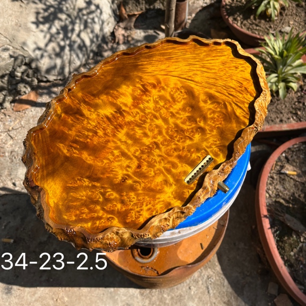 34-23-2.5黄金樟茶盘干泡托盘壶承高端整块原木树根满榴花