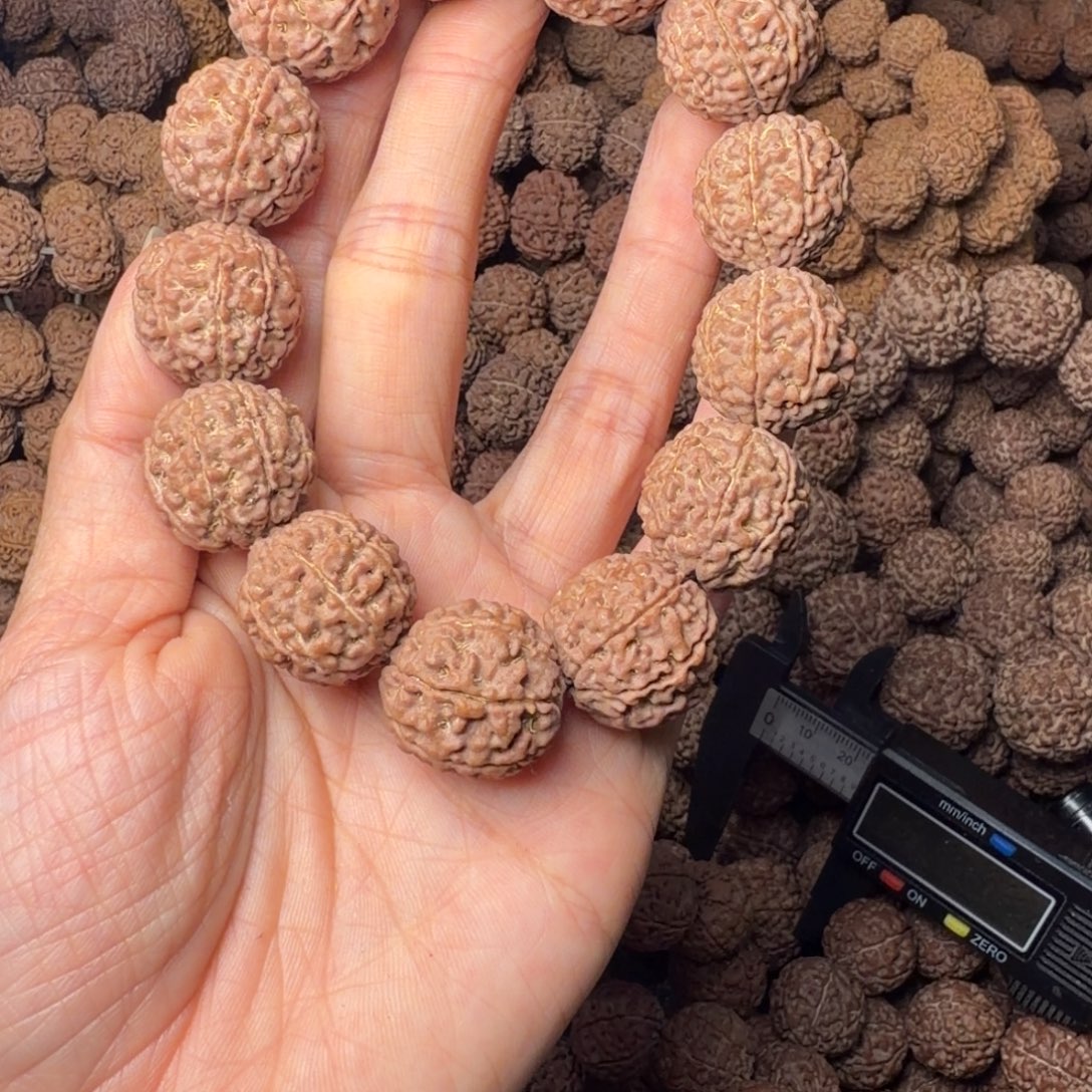 金刚菩提手串8瓣卡20尺，80号