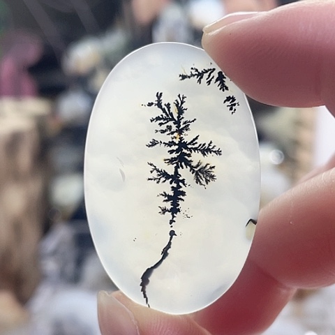 玛瑙/玉髓珠宝奇石未镶嵌