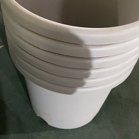 树脂四季5号微瑕灰白无托6个