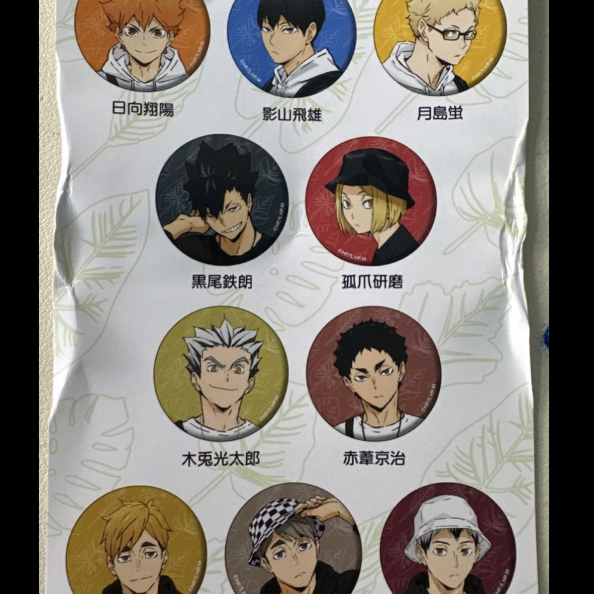 排球少年东武动物园吧唧 [特价]