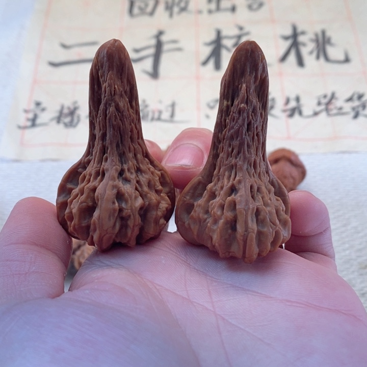 文玩核桃把件鸭嘴兽