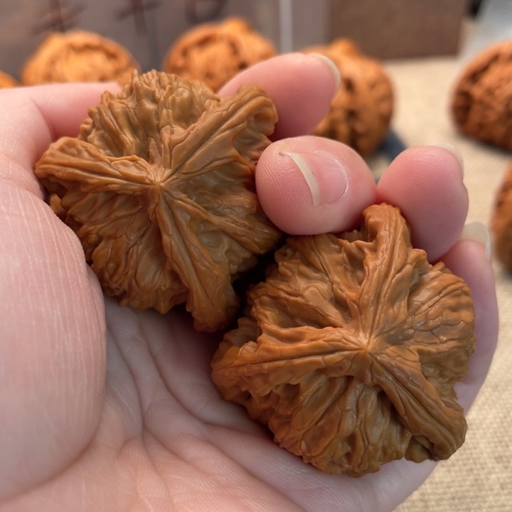 L***T核桃白狮子40核桃