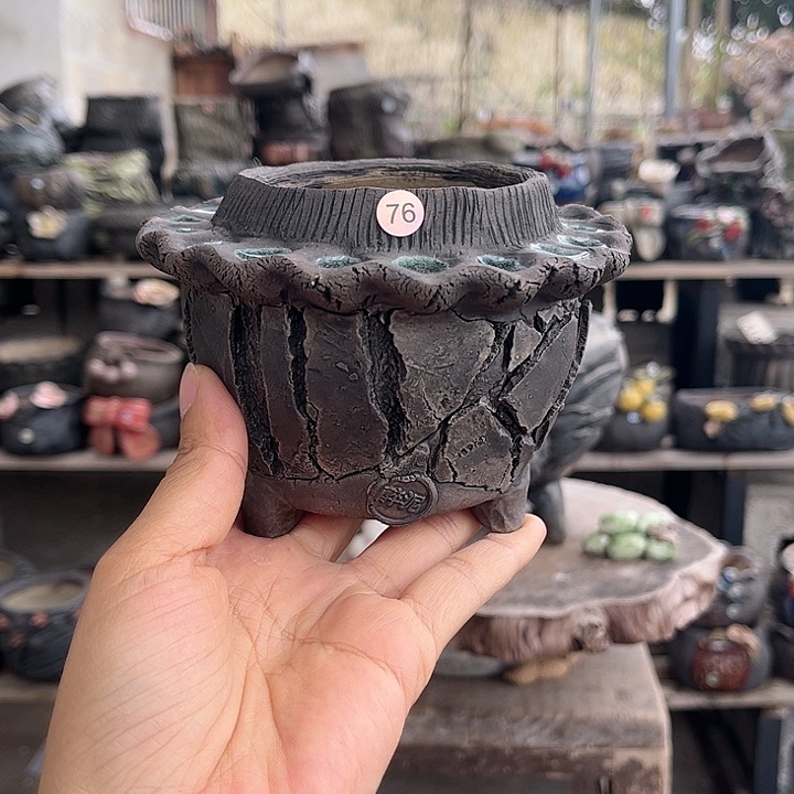 红陶你的世界是什么样子吧