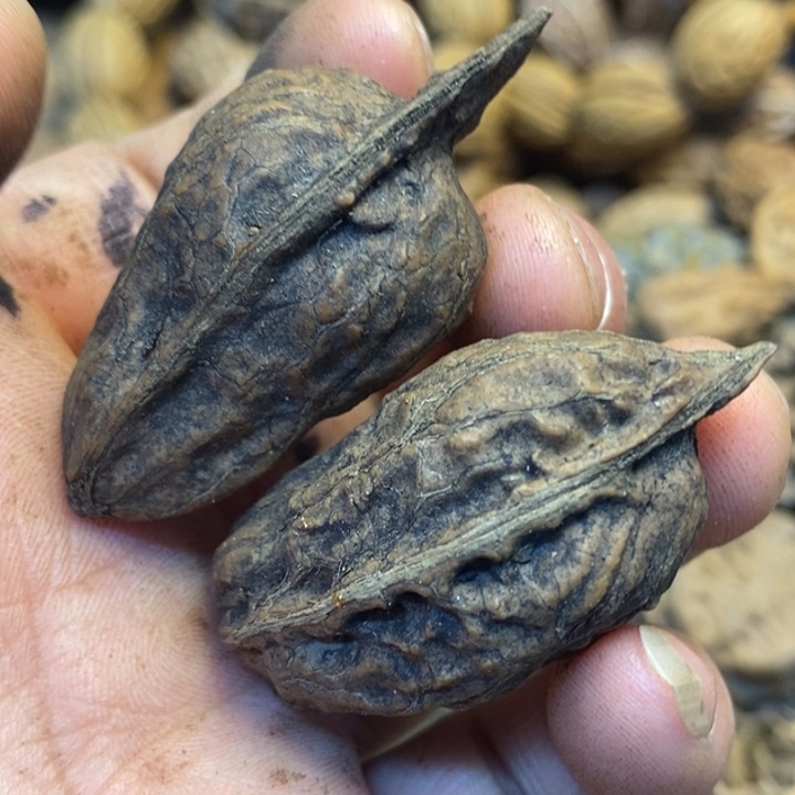 吊坠桃核娜姐真的89