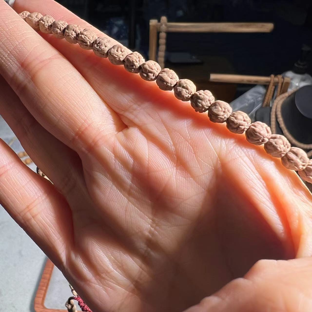 【三】玄武三日红原桩五爪金龙佛手5-6mm左右