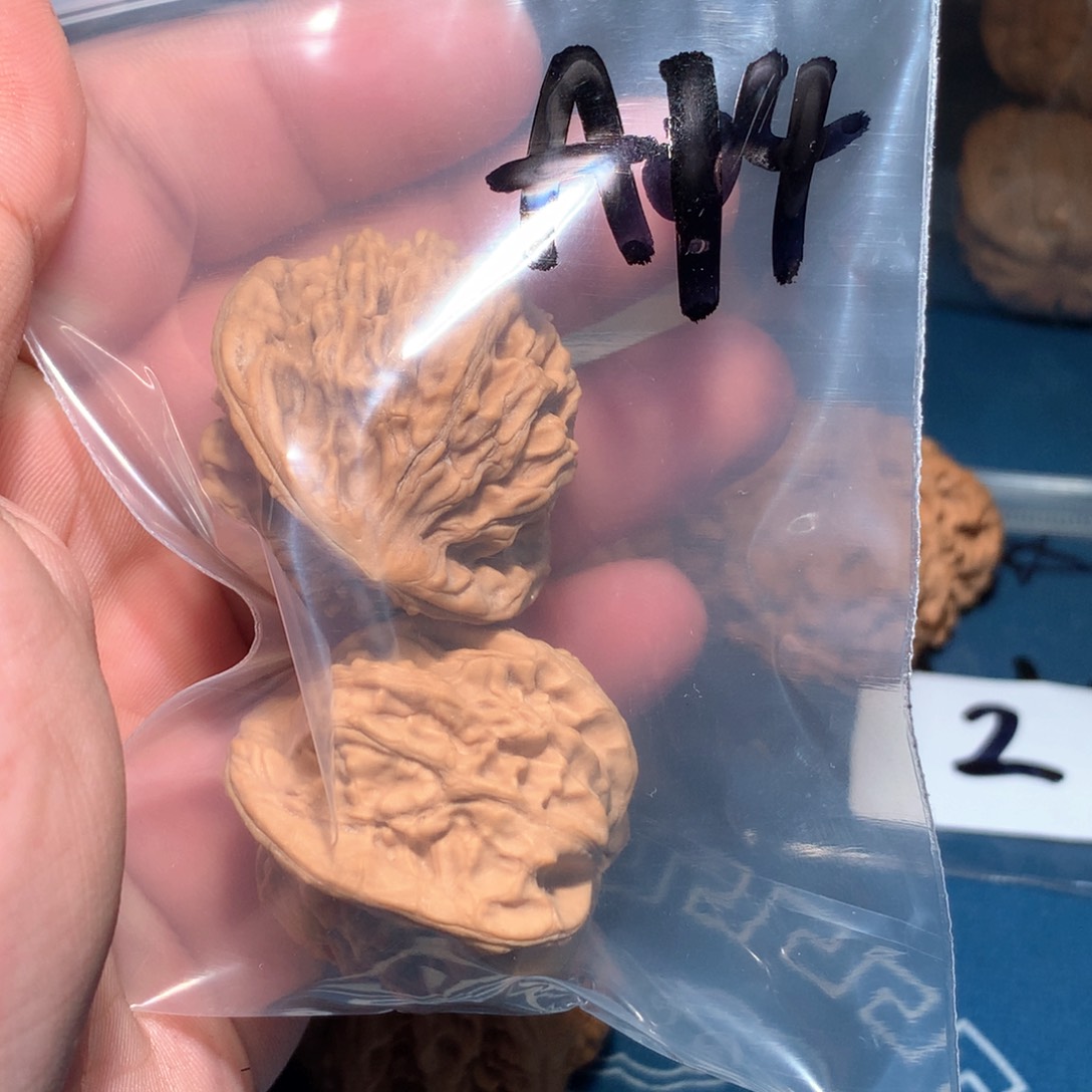 文玩核桃吊坠H**.天地 A14