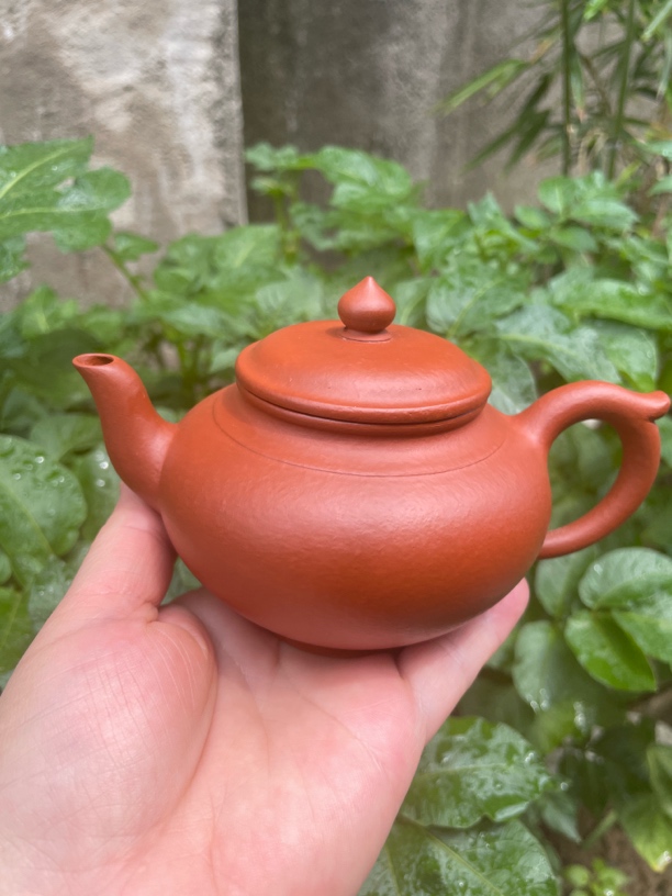 宜兴紫砂壶，笑樱，朱泥，容量210cc，半手工制作