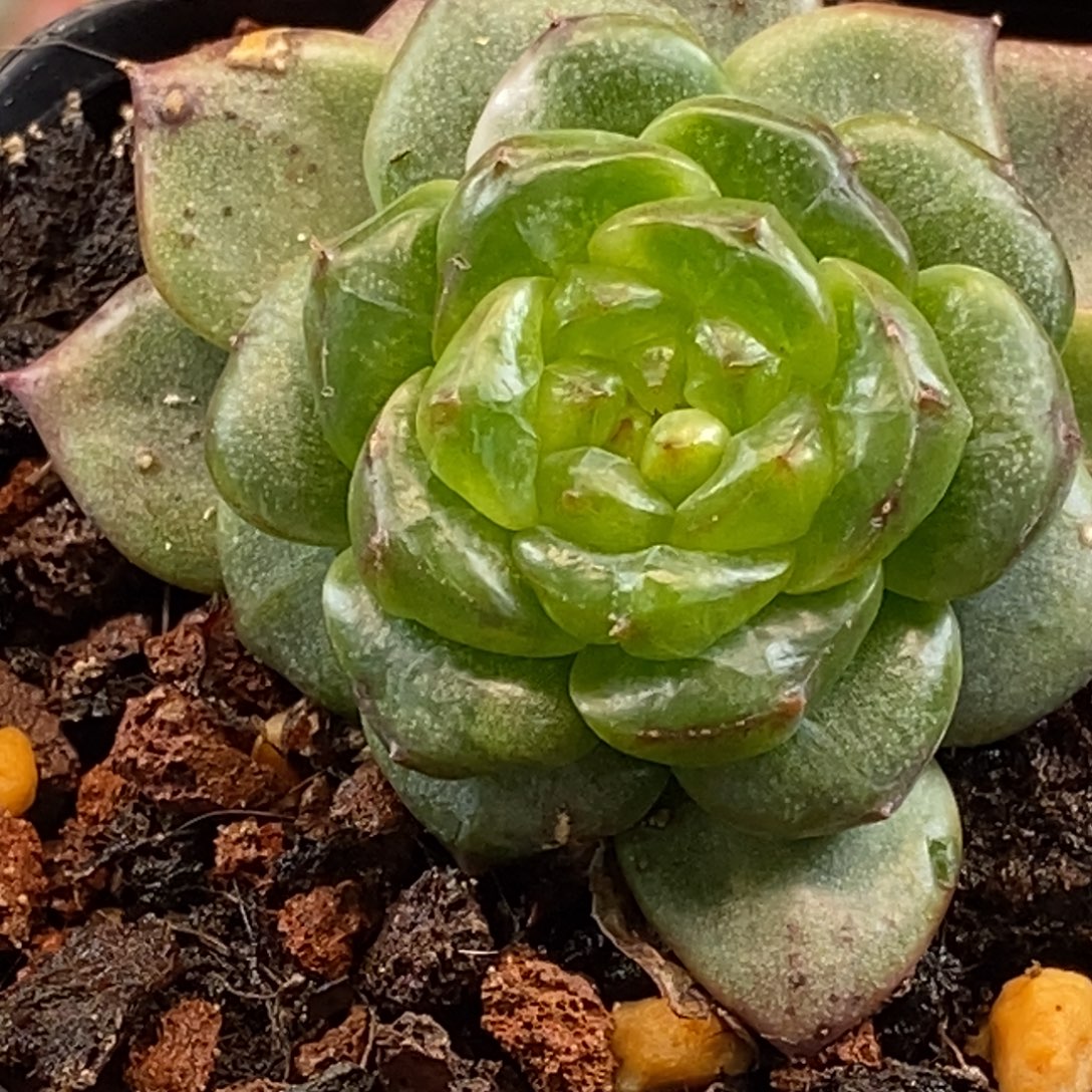 天官赐福百无禁忌