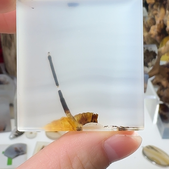 玛瑙/玉髓未镶嵌珠宝奇石