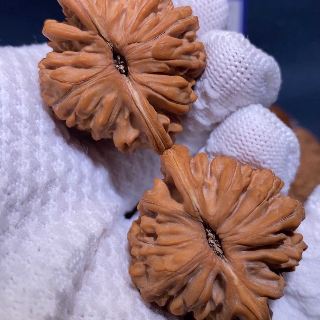 42尺 全品无修白茬 四座楼