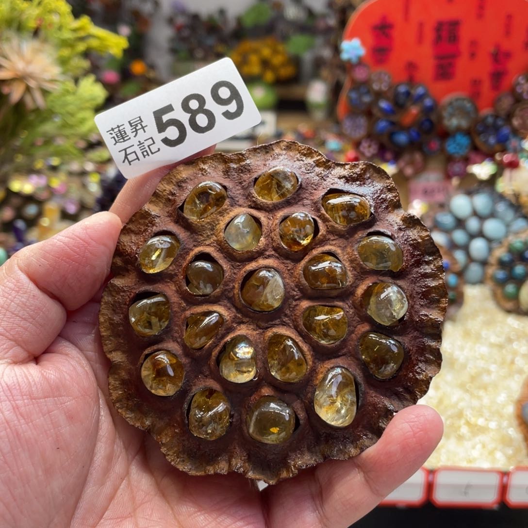 核桃木/黑胡桃（胡桃木）589