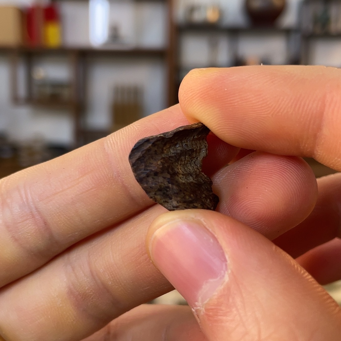 沉香碎屑沉香缅甸蜜支那 品香碎料 1.1g