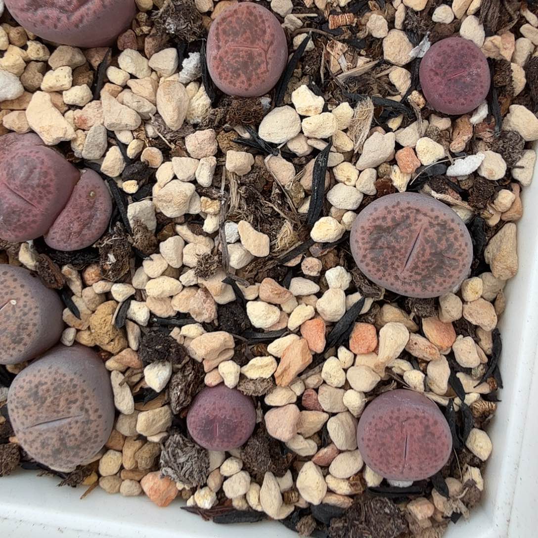 哈哈哈你说这两条324不