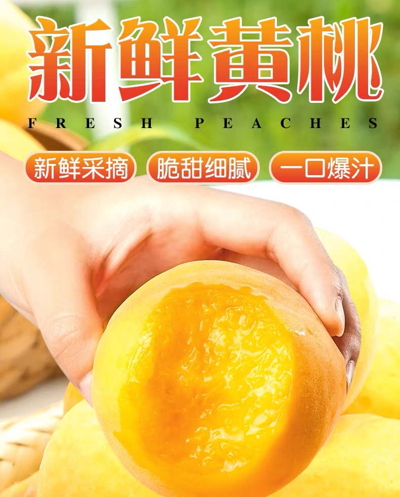 黄桃新鲜孕妇当季水果整箱脆甜现摘蜜桃甜桃