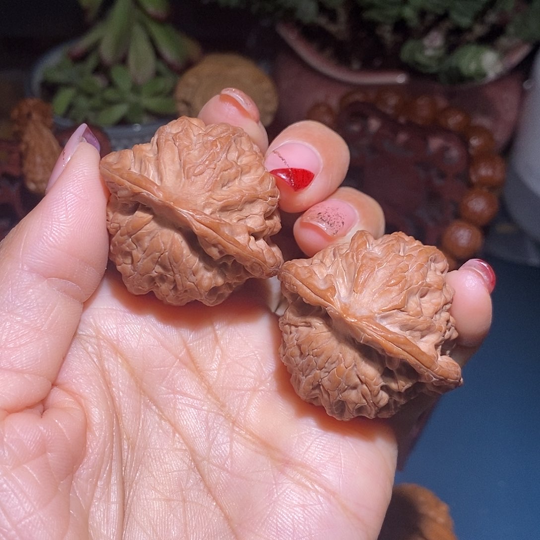 文玩核桃把件40佛肚