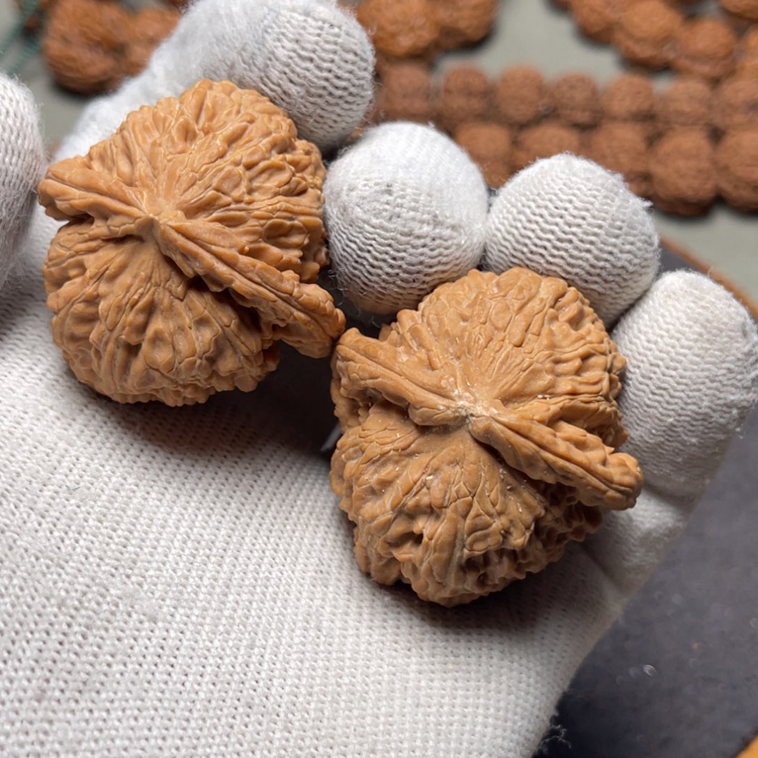 手串金刚菩提白狮子核桃41尺