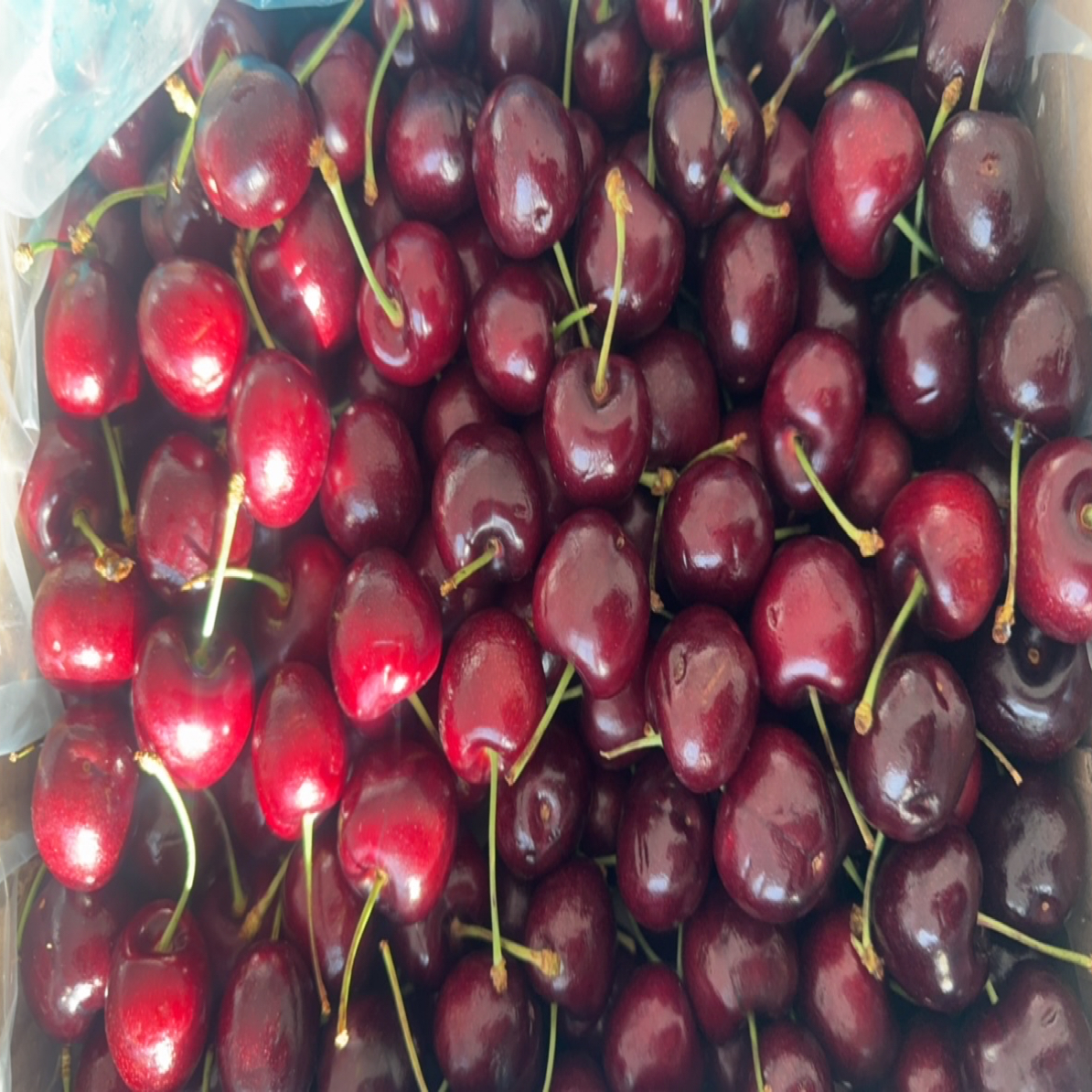 JJD空运车厘子，脆甜口感，一斤袋装，