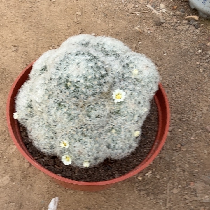 轻***写我在外面吃饭呢啊我想