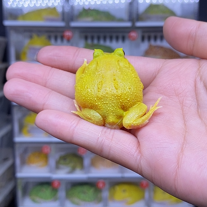 特价秒杀现货供应