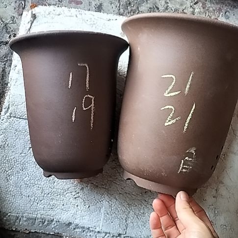 金钟套盆一大一小
