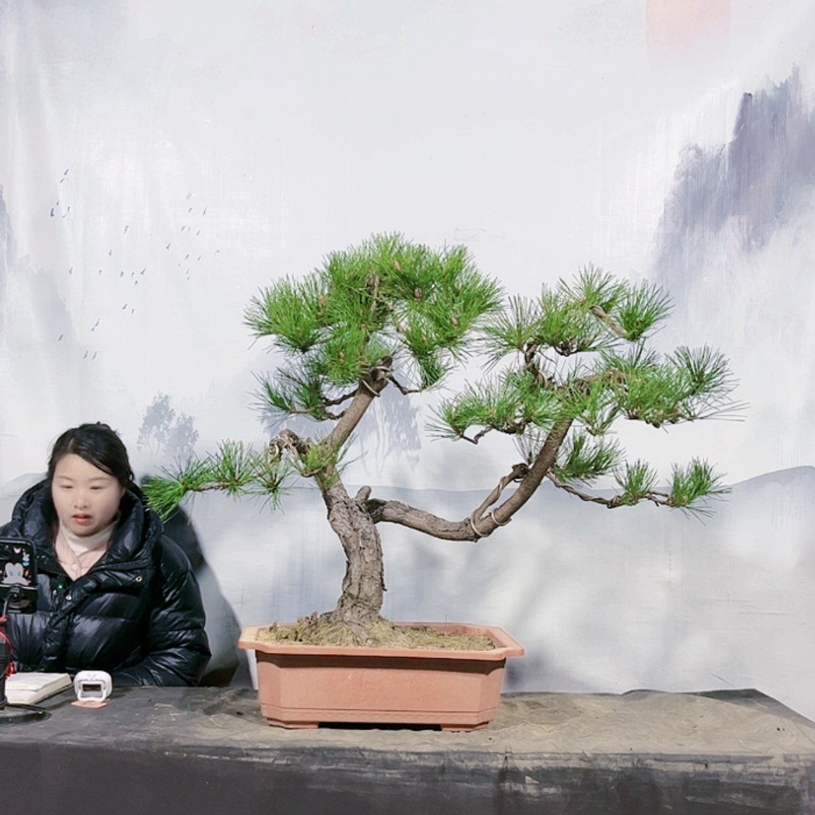 【闪购商品】无花朵本*运费到付