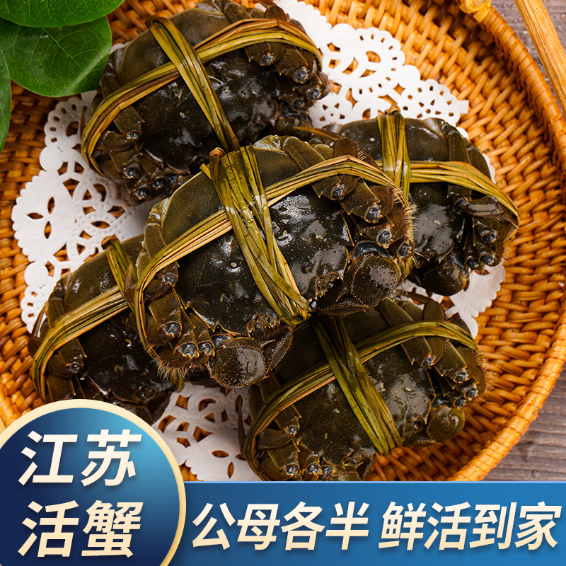 【活蟹】江苏大闸蟹公(4.8-4.5两) 母(3.8-3.5两) 6-10只 顺丰包邮