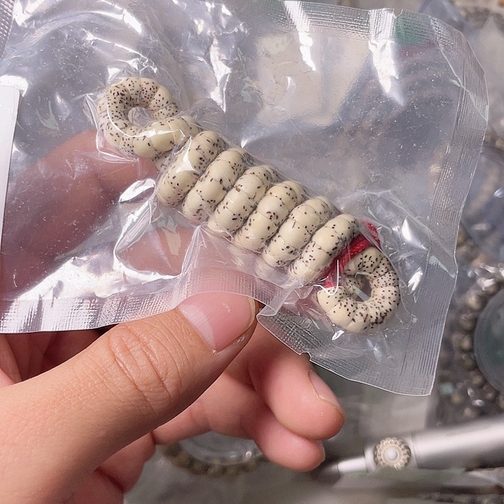 星月菩提手串G753 星月哈哈哈7