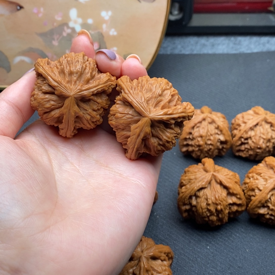 射*白狮子11111111111