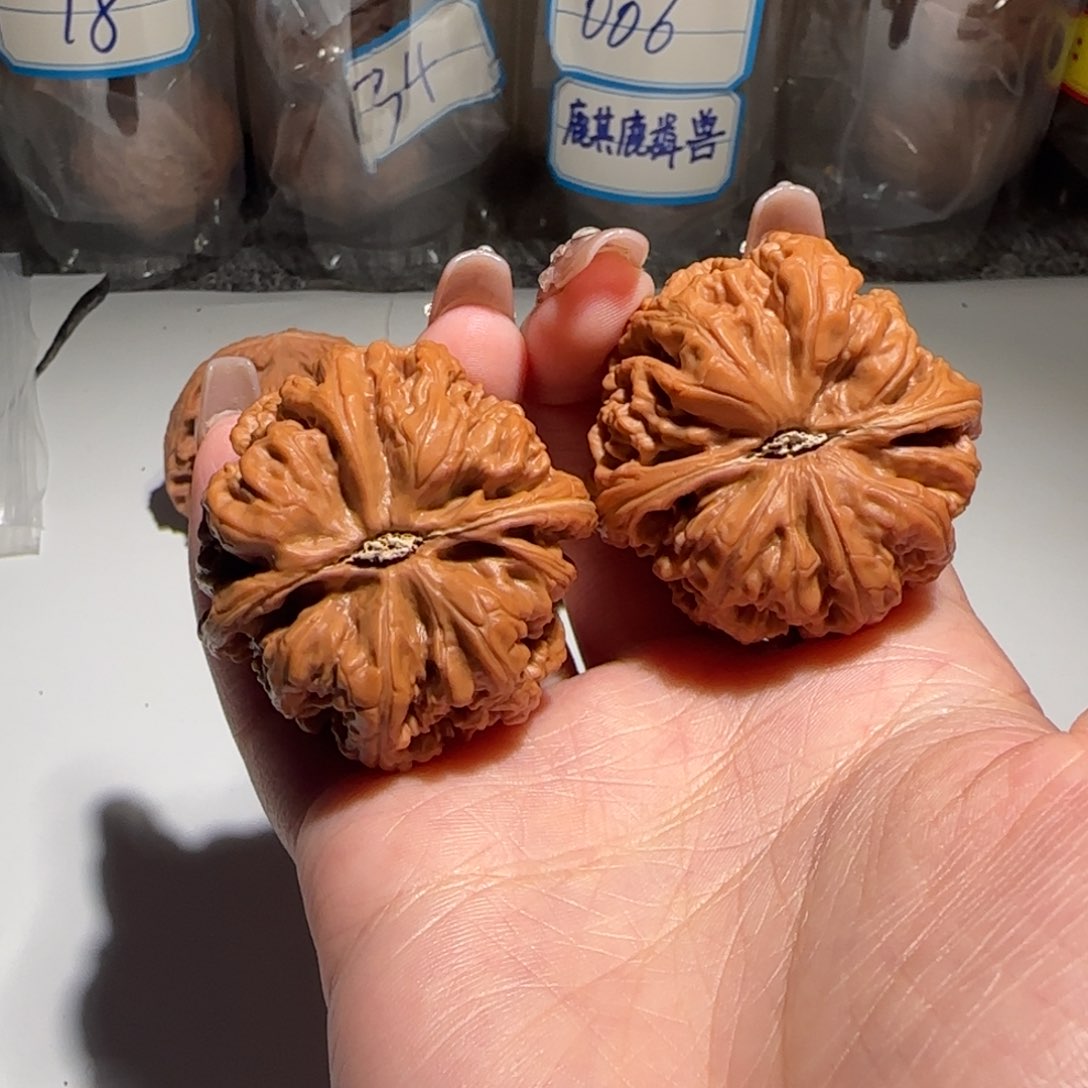 文玩核桃把件迷*粗筋