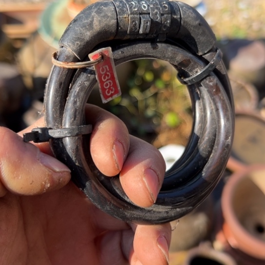 乡***夫核桃木/黑胡桃（胡桃木）