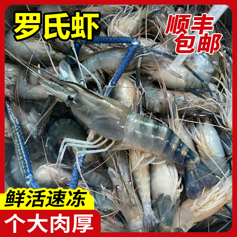 罗氏沼虾当季新鲜冰鲜淡水虾王商用批发餐饮采购鲜活速冻大头虾
