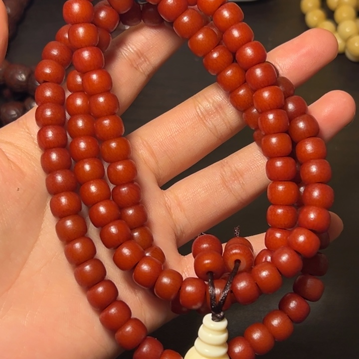 鱼***道111111111111111111