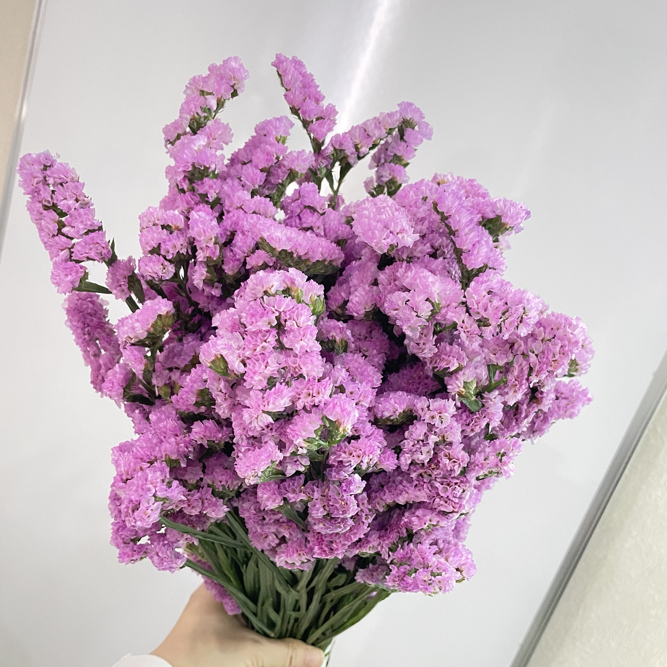 【浅紫勿忘我】一扎干花花束