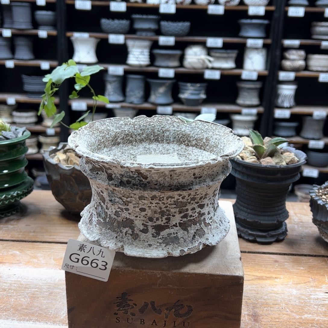 素八九陶瓷内口15高10