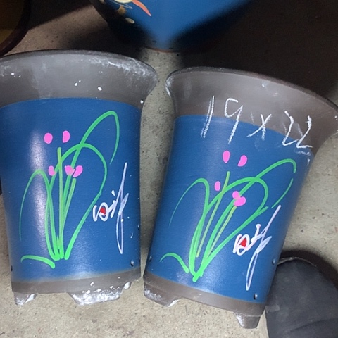 紫砂花盆紫砂的味道很