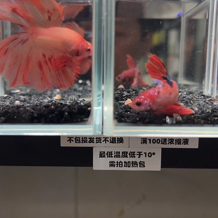 斗鱼跑单拉黑7日45+60