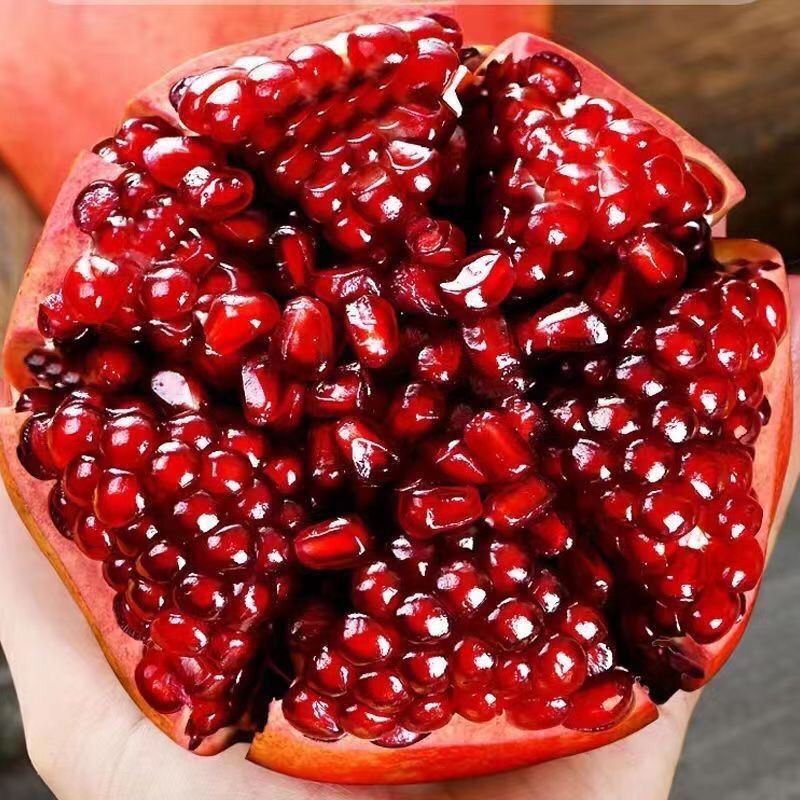 特大软籽石榴树苗无籽超甜南方北方种植盆栽地载庭院种植当年结果