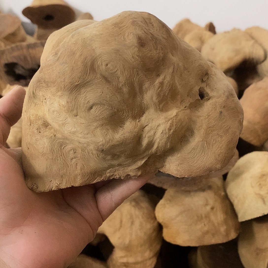 荔枝木云*荔枝木原料